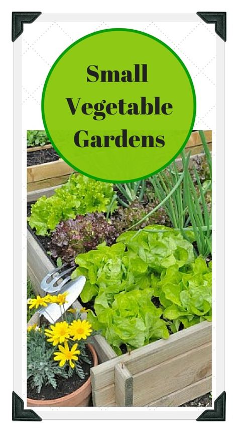 Learn all about small vegetable gardens; from raised bed gardening, to container vegetable gardens, to small backyard garden plans! Use our free online Vegetable Garden Planner, zone chart, planting guide, and worksheets to plan a garden that works for you! Small Vegetable Patch Ideas, Backyard Garden Plans, Vegetable Garden Plans, Garden Ides, Container Vegetable Garden, Plan A Garden, Small Backyard Garden, Small Vegetable Garden, Small Garden Plans