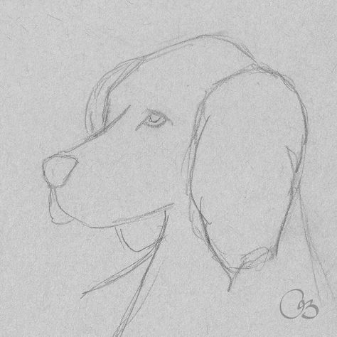 Dog Art Sketch, Pencil Drawings Of Animals Easy, Drawing Ideas Easy Dog, Drawing Ideas Easy Animals, Art Videos Tik Tok, Sketches Pencil Easy, Sketches Of Dogs, Dog Sketch Easy, Pencil Sketches Of Animals