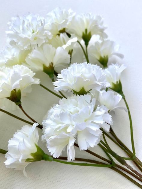 White Carnations Aesthetic, White Carnations Bouquet, White Carnation Bouquet, Wedding Recipes, Ashley Lee, Babies First Birthday, Diy Cake Decoration, Grad 2023, White Carnations