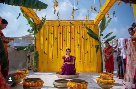 Traditional colours with manmade parrots.... awesome.... #indianwedding #indianweddingblog #saree #designerblouse #teluguwedding #telugubride #tamilwedding #tamilbride #weddingbrigade #gorgeousbride #shopzters #shaadimagic #bridesessentials #ezwed #pellipoolajada #southindianbride #southindianwedding #templejewellery #southindianweddingdecor Haldi Terrace Decor, Haldi Backdrop At Terrace, Haldi Decoration Ideas At Terrace, Terrace Haldi Decoration, Haldi Decoration At Terrace, Terrace Haldi Decor, Pelli Kuturu Decoration, Coconut Wedding, Mangala Snanam