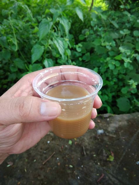 Local rice beer mixed with pure honey #MANIPUR #india Rice Beer, Pure Honey, Mason Jar Mug, Travel Food, Rose Wine, Mason Jars, Alcoholic Drinks, Honey, Rice