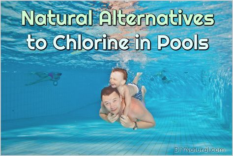 Natural Alternatives To Chlorine In Swimming Pools Chlorine Free Pool, Safe Pool, Swimming Pool Filters, Pool Care, Natural Alternatives, Stock Tank Pool, Pool Chlorine, Natural Pond, Baby Pool