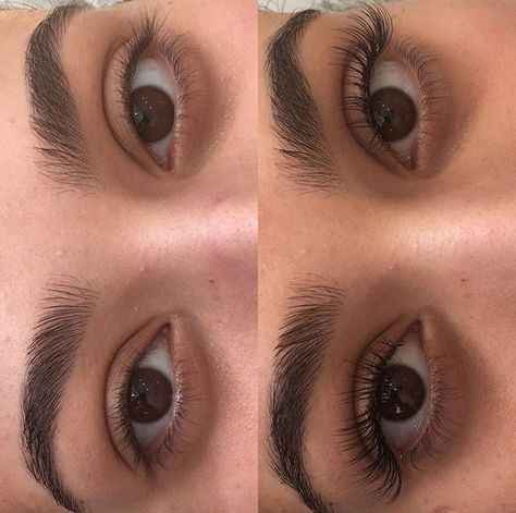 Lashes And Eyebrows, Natural Fake Eyelashes, Eyelash Extensions Styles, Perfect Eyelashes, Natural Eyelash Extensions, Long Eyelashes, Eyelash Extentions, Best Lashes, Eyelash Growth