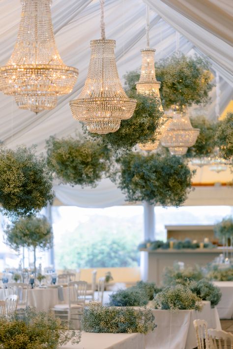 Chandeliers, hanging florals, drapery Chandeliers In Tent Wedding, Arch Chandelier Wedding, Wedding Decor Hanging From Ceiling, Chandelier With Greenery Wedding, Hanging Florals Wedding Reception, Wedding Tent Ceiling Decor, Wedding Reception Ceiling Decor, Wedding Draping Ceiling, Hanging Florals Wedding