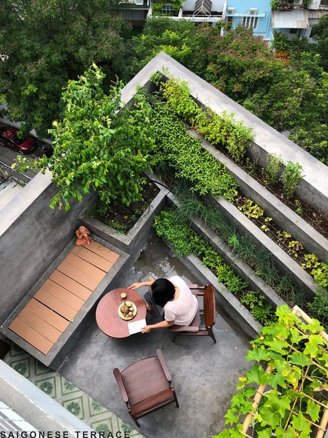 Rooftop Garden Urban, Roof Garden Design, Parisian Architecture, Garden Paradise, Station Service, Garden Canopy, Garden Architecture, Rooftop Garden, City Garden