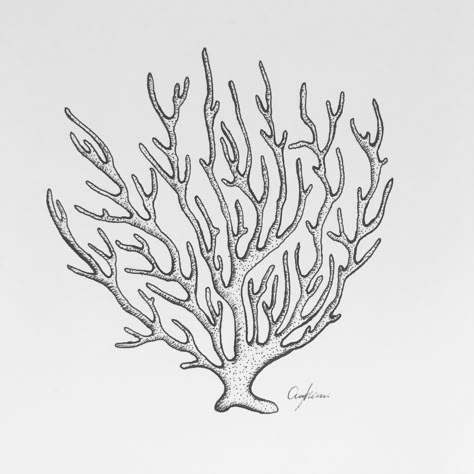 Coral Reef Line Drawing, Fan Coral Tattoo, Coral Line Art, Coral Sketch, Coral Outline, Coral Reef Drawing, Coral Tattoo, Coral Drawing, Ocean Drawing