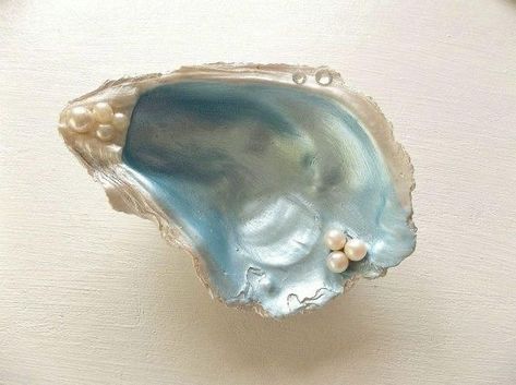 West End Girls, No Ordinary Girl, Oyster Shell Crafts, Coquille Saint Jacques, Pixie Hollow, Shell Crafts Diy, Mermaid Aesthetic, Sea Witch, Shell Ring