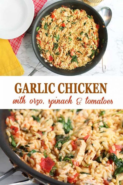 Pasta Dishes Recipes, Spinach And Orzo, Chicken With Orzo, Orzo Recipe, Orzo Recipes, One Skillet, Skillet Dinners, Quick And Easy Dinner, Mediterranean Diet Recipes