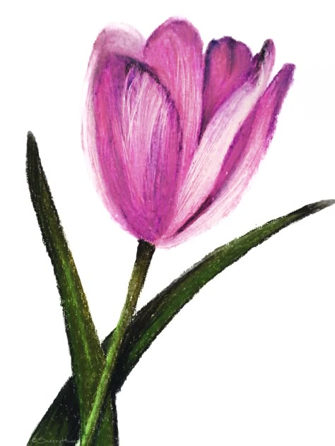 Soft Crayon Art, Flowers Pastel Drawing, Tulips Pastel Drawing, Oil Pastel Art Flowers Easy, Rose Oil Pastel, Crayon Art Easy, Tulips Oil Pastel, Oil Pastel Drawings Flowers, Flower Oil Pastel