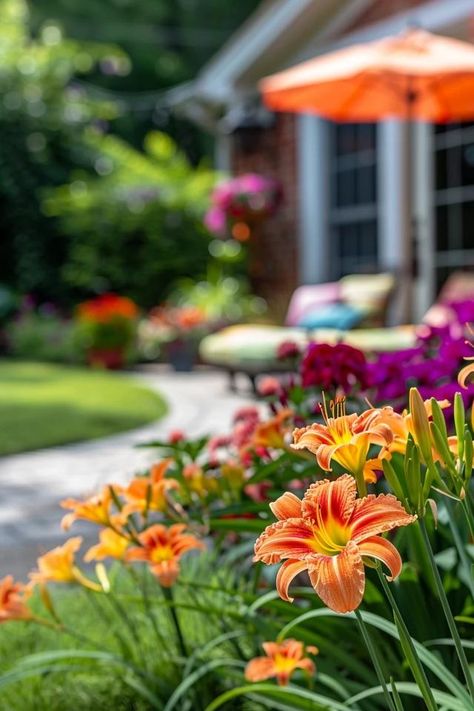 Vibrant Landscaping Ideas with Daylilies Liriope Landscape Front Yards, Landscaping With Daylilies, Day Lilies Landscaping, Daylily Landscaping, Daylilies Landscaping, Day Lily Garden, Day Lilies Care, Day Lilly, Daylily Garden