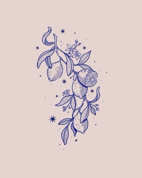 Aleksandra Pelc • tattoo | illustration • on Instagram: "• Citrus limon •  • • •  #lemonbranchtattoo #lemonbranchillustration #lemonillustration #botanicalart" Citrus Branch Tattoo, Citrus Fruit Tattoo, Orange Plant Tattoo, Fruit Plant Tattoo, Lemon Tree Branch Tattoo, Lemon Tattoo Color, Lemon Vine Tattoo, Lime Tree Tattoo, Lemon Tattoo Ideas