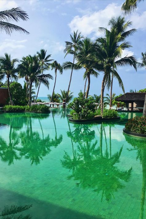 a beach resort pool in thailand, tropical beach resort pool South East Asia Travel, East Asia Travel, Luxury Beach Resorts, Surat Thani, Koh Samui Thailand, Samui Thailand, Asia Travel Guide, Southeast Asia Travel, Koh Samui