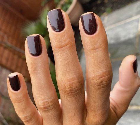 Dark Nails Wedding, Dark Brown Shellac Nails, Nails Brown Dark, Shellac Short Nails Fall, Short Gel Nails Autumn 2023, Short Nails Shellac Fall, Gel Mani Short Nails Dark Color, Dark Brown Nails On Brown Skin, Short Fall Nails 2022 Brown