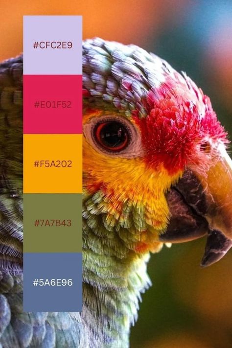 Rainbow Parrot, Color Palets, Squarespace Web Design, Cool Color Palette, Hex Color Palette, Paint Color Inspiration, Waffle Blanket, Things That Matter, Build Your Business