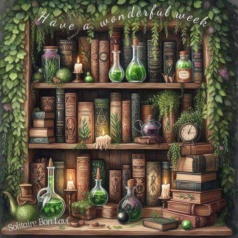 Witch Astetic, Witches Library, Magical Bookshelf, Potion Shelf, Spooky Cottage, Apothecary Shelf, Fantasy Bookshelf, Labels Organization, Acotar Illyrian