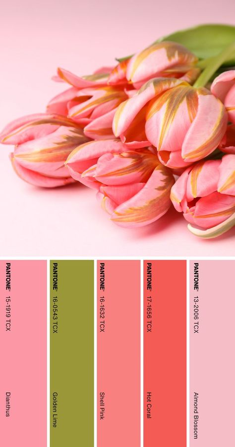 Pantone Color Palette #pantone #color #palette #tulips #spring Tulip Color Palette, Color Palette Pantone, Pantone Color Palette, Tulips Spring, Tulip Colors, Pantone Colour Palettes, Hex Color Palette, Hex Codes, Hex Colors