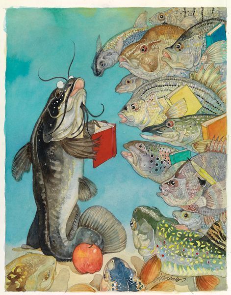 Fish Creature, Fish School, School Of Fish, Children's Stories, Picture Books Illustration, Salmon Fish, Fish Art, New Wall, Picture Books