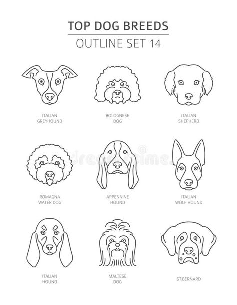 Dog Breed Line Drawing, Top Dog Breeds, Dog Outline, Face Outline, Dog Line Art, Hand Doodles, Dog Line, Full Frontal, Dog Vector