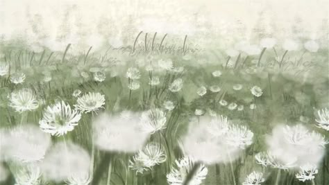 A Field Of Dandelions, Field Of Dandelions, Mine Mine, Be Mine, The Other Side, On Tumblr, Tumblr