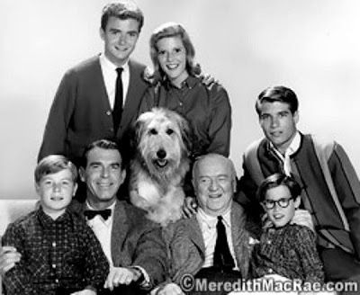 MY THREE SONS REUNION! Tim Considine, Meredith Macrae, Don Grady, William Frawley, My Three Sons, Classic Television, Old Shows, Old Tv Shows, Comedy Tv