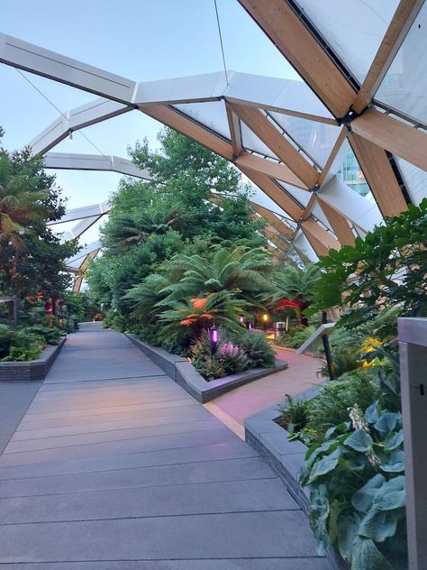 Rooftop garden, Canary wharf 🎥🌸 Canary Wharf Roof Garden, Canary Wharf Photoshoot, Canary Wharf Aesthetic, London Living, Canary Wharf, London Places, Rooftop Garden, Interior Garden, Roof Garden