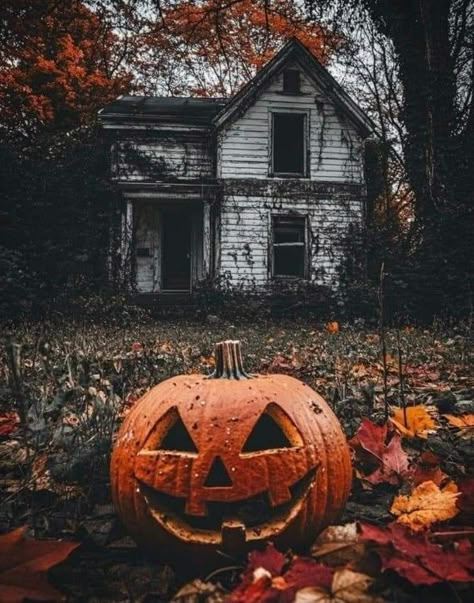 Halloween Spooky Aesthetic, Spooky Spring, Autumn Moodboard, Halloween Wallpaper Iphone Backgrounds, Spooky Aesthetic, Halloween Wallpaper Cute, Halloween Pics, Scary Mask, Halloween Love