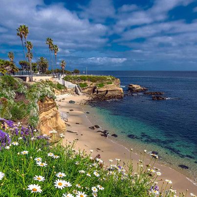 What Is La Jolla Cove? Why Is It... - La Jolla Cove, Ca Ocean Beach San Diego, La Jolla Beach, La Jolla Cove, La Jolla California, Cottage Core Aesthetic, Water Element, Most Beautiful Beaches, Nature Indoors, San Diego California