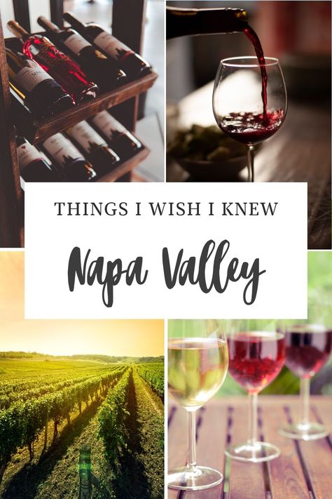 Planning a trip to Napa Valley can be overwhelming! Here are a few things I wished I knew before my first trip there. Napa Valley Trip, Wine Country Travel, Sonoma Valley, Princess Cruises, Zinfandel, Wine Clubs, Harvest Season, I Wish I Knew, Menu Items