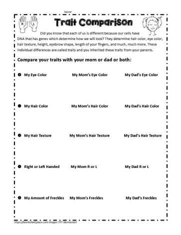 Story Sequencing Worksheets, Diagramming Sentences, Inherited Traits, Sequencing Worksheets, Prepositional Phrases, Subtraction Word Problems, Third Grade Science, Story Sequencing, Letter Tracing Worksheets