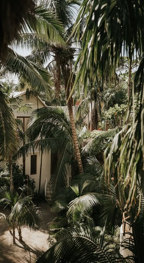 Tulum Mexico Architecture, House Owner Aesthetic, Rain Forest Aesthetic, Tulum Aesthetic, Tulum Villa, Jungle Hotel, Tulum Style, Luxury Beach Villa, Wall Of Water