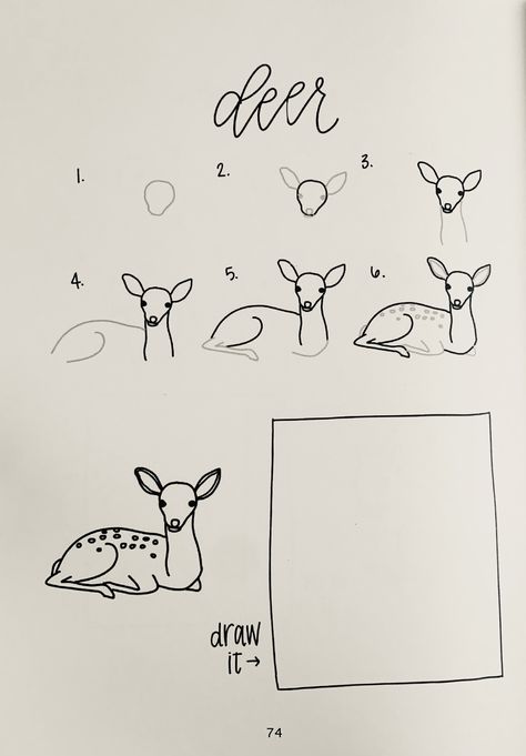 Woodland Animal Drawings Simple, Draw A Deer Step By Step, Deer Doodle Easy, Woodland Creature Drawing, How To Draw A Forest Step By Step, Owl Drawing Simple Step By Step, Forest Animal Drawings Easy, Deer Painting Tutorial, How To Draw A Raccoon Step By Step