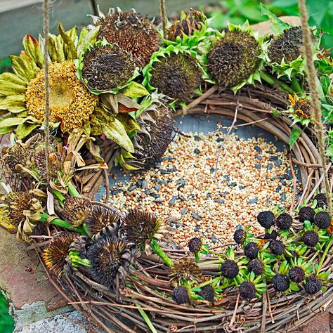 DIY Bird Feeder Wreath Sunflower Head Bird Feeder, Sunflower Seed Bird Feeders Diy, Winter Bird Feeders, Backyard Birds Feeders, Pine Cone Bird Feeder, Make A Bird Feeder, Bee Friendly Plants, Living Wreath, Bird Feeding Station