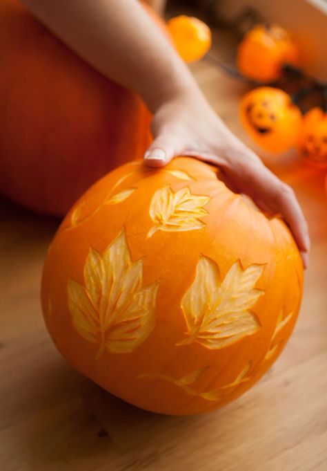 Pumpkin Carving Ideas Pumpkin Etching, Holiday Memes, Funny Pumpkin Carvings, Pumpkin Paint, Pumkin Carving, Creative Pumpkin Carving, Amazing Pumpkin Carving, Easy Pumpkin Carving, Pumpkin Uses