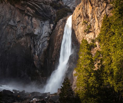 The 16 Best Easy Hikes in Yosemite Easy Yosemite Hikes, Yosemite Hikes, Vernal Falls, Tuolumne Meadows, Sequoia Tree, Yosemite Falls, Mirror Lake, California Travel Road Trips, Yosemite Valley