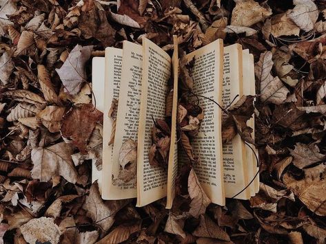 Brown Photography Aesthetic, Wood Bookmark, Quoth The Raven, Brown Photography, Photography Aesthetic, The Raven, Dark Academia Aesthetic, Inspirational Quotes About Love, Autumn Vibes