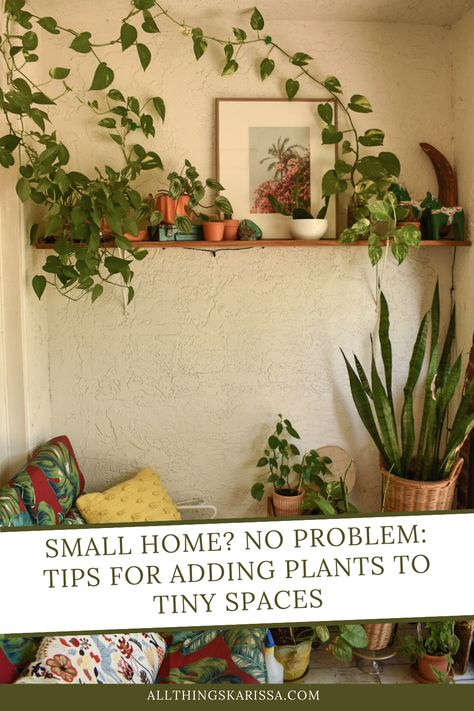 Do you have a small home but still want to bring some life into your living space with house plants? You're in luck! There are plenty of space-saving ways to add plants to even the tiniest of homes. Whether you opt for hanging plants, small pots, or creative planters, there's something for everyone who wants to add plants to their living area. Small Hanging Plants Indoor, Creative Planter Ideas Indoor, Small Apartment Plants, Plants For Small Spaces, Outdoor Hanging Plants, Plants Wall Decor, Creative Planters, Hang Plants, Houseplants Decor