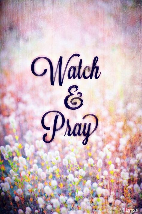 Matthew 26:41 Watch and pray, that ye enter not into temptation: the spirit indeed is willing, but the flesh is weak. Praying Wife, Pray For Love, Watch And Pray, Happy Sabbath, Jesus Praying, Spirit Quotes, Pray Quotes, God Help Me, Jesus Is Coming