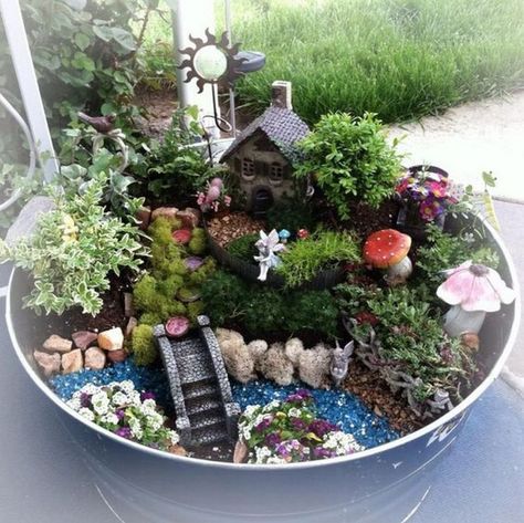 Shed Inspiration, Miniature Garden Design, Fairy Garden Pots, Indoor Fairy Gardens, Fairy Garden Ideas, Fairy Garden Plants, 19 November, Fairy Garden Designs, Fairy Garden Crafts