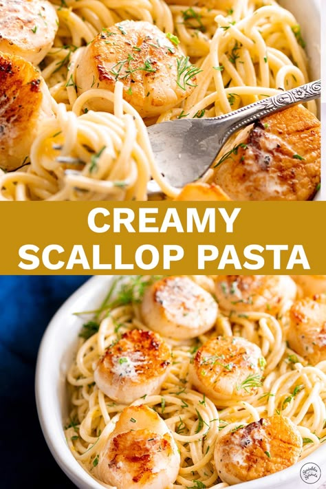 This Creamy Scallop Pasta is an elegant dinner idea that is quick to cook and easy to make. The creamy sauce is rich with garlic and a touch of wine, while the scallops are seared to perfection - golden on the outside and meltingly tender within. Serve this on date night, or serve it when you have friends for dinner. This is one recipe that is sure to impress. Add a crispy green salad, some bread, and a bottle of wine, and enjoy your evening! Scallop Alfredo Pasta Recipe, Creamy Scallop Pasta Recipe, Scallops Alfredo Pasta, Scallop Pasta Creamy, Scallops And Angel Hair Pasta, Scallops With Angel Hair Pasta, Scallops Dinner, Scallop Pasta Recipe, Lemon Butter Scallops Pasta