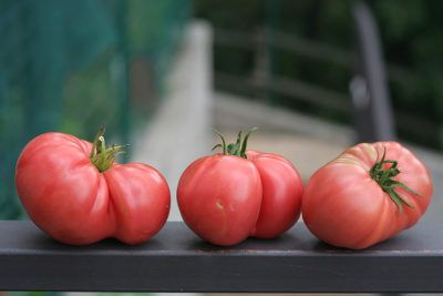 Pink Brandywine Information: How To Grow A Pink Brandywine Tomato Plant Container Tomatoes, Pruning Tomato Plants, Best Tasting Tomatoes, Tomato Pruning, Tomatoes In Containers, Determinate Tomatoes, Growing Organic Tomatoes, Tomato Farming, Varieties Of Tomatoes