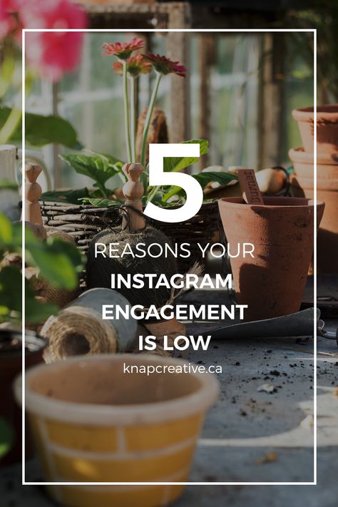 The question that we get asked more than any other is how to boost engagement on Instagram — and understandably so, because it seems to plummet more with every passing year. It doesn’t mean that you’re doing anything wrong and you’re definitely not alone! We’ve got a few tricks of the trade, but first up, there’s actually a reason it’s happening. Followers Social Media, Seo Instagram, Engagement On Instagram, Instagram Tips And Tricks, Run A Business, Instagram Engagement, Time Blocking, Business From Home, Check Your Email