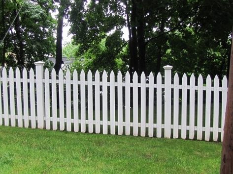 8ft Fence, Wood Picket Fence, Easy Fence, Fence Designs, Living Fence, Timber Fencing, White Fence, Horizontal Fence, Steel Fence