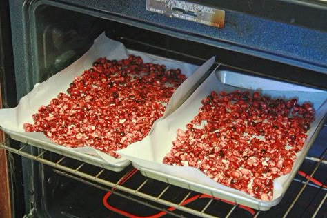 Drying Cranberries In Oven For Potpourri, How To Dry Cranberries In Oven For Potpourri, Dry Cranberries In Oven, Diy Dried Cranberries, How To Make Dried Cranberries, Homemade Dried Cranberries, Drying Cranberries In Oven, How To Dry Cranberries In Oven, Homemade Craisins