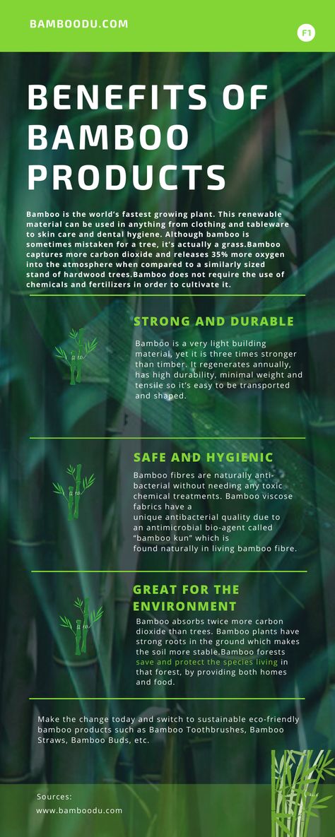 Bamboo Benefits, Giant Bamboo, Budget Advice, Bamboo Products, Bamboo Structure, Plant Benefits, Succulent Gardens, Bamboo Decor, Awareness Poster