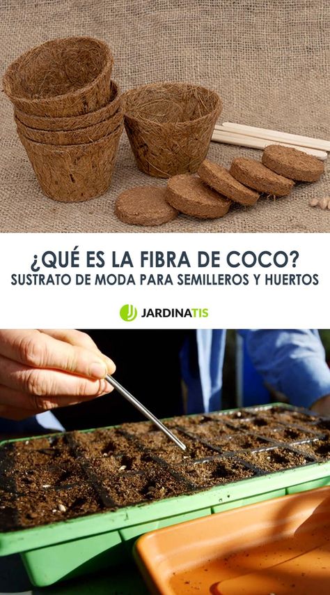 ¿Conoces la fibra de coco? Te mostramos las características y distintos usos que tiene este producto 100% natural extraído de la cáscara del coco. Además, te contamos por qué es tan beneficioso para tus plantas y lo sencillo que es crear un sustrato con él. ¡Toma nota! #fibradecoco #jardinería #semilleros Cereal, Coco