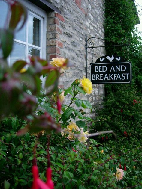 English Bed And Breakfast, Brindlewood Bay, Anniversary Breakfast, Bed And Breakfast Sign, Talia Hibbert, Bed N Breakfast, Country Living Uk, Book Collage, Corfe Castle