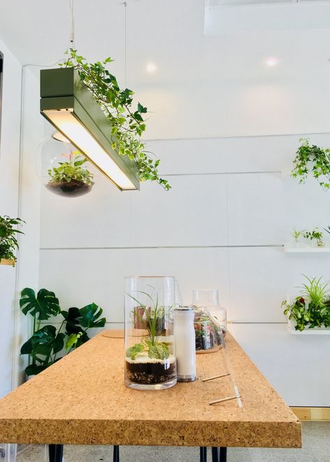 Pendant lamp / vase BRIDGE By Greenworks Plant Troughs, Labyrinth Design, Indoor Water Garden, Restroom Design, Luxury Living Room Design, Suspended Lighting, Plant Table, Fancy Lights, Cafe Lights