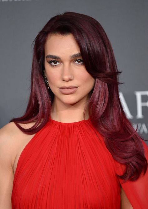 30 Fresh Hair Colors to Try This Spring Hair Color For Spring, Hair Coloring Ideas, Lavender Hair Dye, Hair Color Ideas For Spring, Spring Hair Color Ideas, Cherry Cola Hair, Shiny Black Hair, Ideas For Brown Hair, Grey Hair Dye