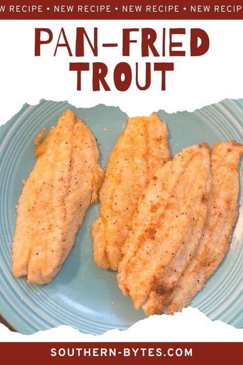 Pan Fried Trout Fillets, Pan Fried Trout Recipes, Breaded Trout Recipes, Baked Trout Fillet Recipes, Trout Recipes Fried, Pan Fried Trout With Skin, Steelhead Trout Recipe Pan Fried, How To Cook Trout, Fried Trout Recipes