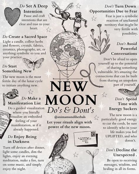 Moon Cycle Witchcraft, New Moon Cycle, New Moon Dos And Donts, Monthly Witchcraft Rituals, Things To Do On A New Moon, New Month Witch Rituals, Spell For New Beginnings, New Moon Energy, New Moon Journaling